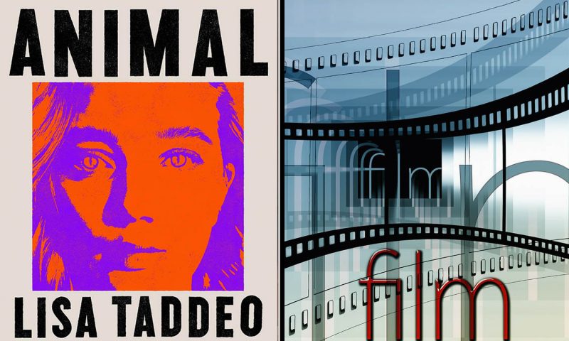 animal-film