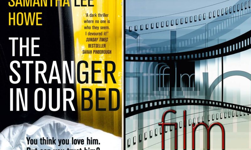 trama-del-film-the-stranger-in-our-bed-dal-libro